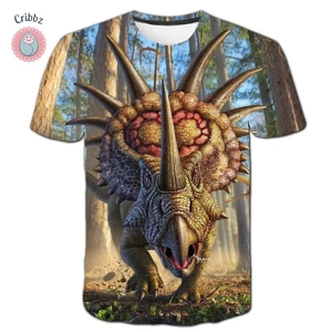 Dinosaur Print Summer T-Shirts for Kids