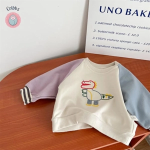 Embroidered Cartoon Hoodie for Babies