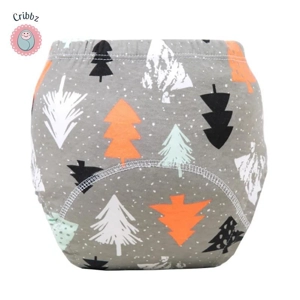 Cartoon Lion Dinosaur Training Pants for Infants