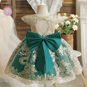 Elegant Backless Bow Baby Dress