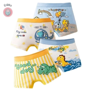 Cool Dinosaur Print Boys Boxer Shorts