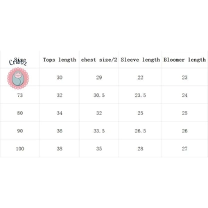 Newborn Knit Pullover and Shorts Set