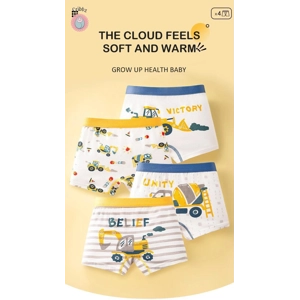 Cool Dinosaur Print Boys Boxer Shorts