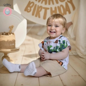 Cartoon Baby Boys Summer Clothing Set