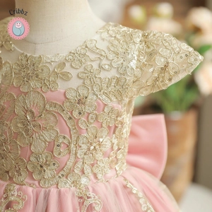 Elegant Backless Bow Baby Dress