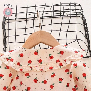 Autumn Newborn Girls Cartoon Flower Dress