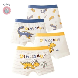 Cool Dinosaur Print Boys Boxer Shorts