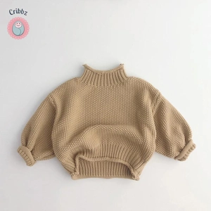 Winter Korean Style Kids Turtleneck Sweater
