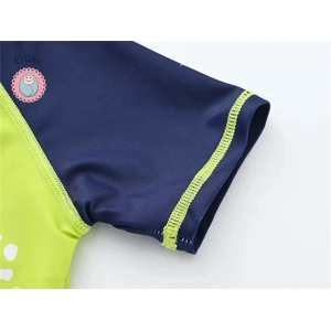 Shark Dinosaur Swimwear Set for Toddlers