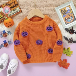 Newborn Pumpkin Sweater for Fall