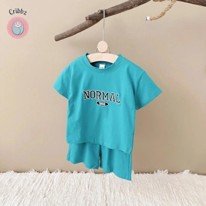 Summer Baby Boys Fashion T-shirt and Shorts Set