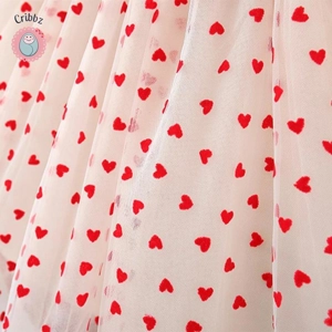 Baby Girl Flying Sleeves Princess Dress