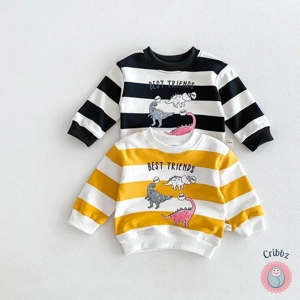 Baby Dinosaur Long Sleeved Hoodie Top