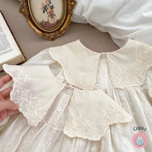 Toddler Girl Flower Embroidery Dress