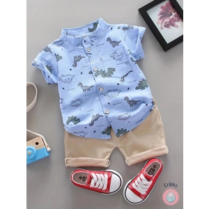 Dinosaur Summer Kids Shorts Shirt Set