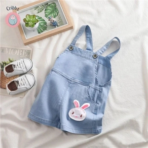 Baby Boys Denim Jumper Overalls
