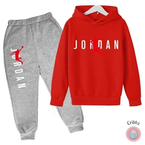 Charming Hoodie and Trousers Set for Kids