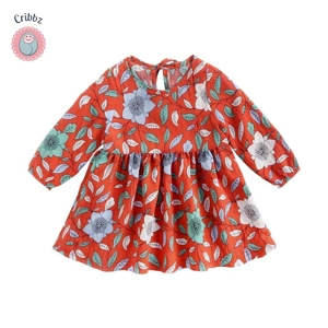 Baby Girl Flower Dress Long Sleeve