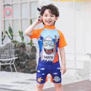 Baby Boy Unicorn Cartoon Swimsuit