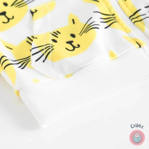 Baby Long Sleeve Zippered Hooded Coat