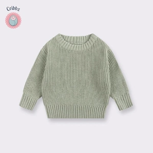 Cozy Knit Pullover for Infants