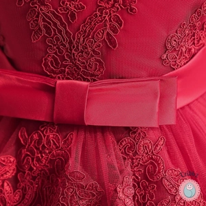 Elegant Golden Lace Princess Dress for Girls