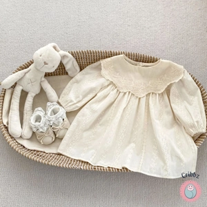 Toddler Girl Flower Embroidery Dress