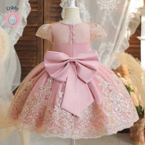 Elegant Backless Bow Baby Dress