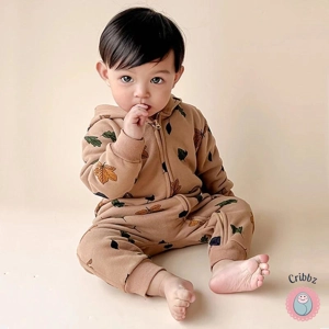 Newborn Bear Hoodie Jumpsuit Outfit
