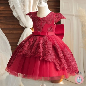 Elegant Golden Lace Princess Dress for Girls