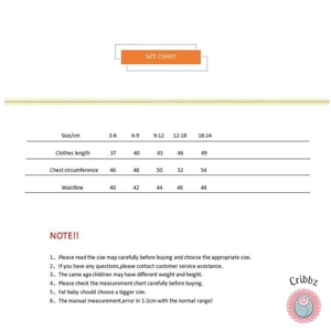 Newborn Girl Flying Sleeves Dress