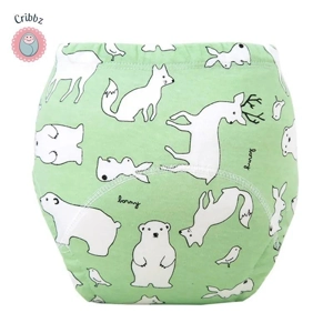 Cartoon Lion Dinosaur Training Pants for Infants