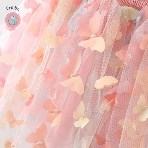 Colorful Toddler Butterfly Wing Dress