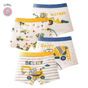 Cool Dinosaur Print Boys Boxer Shorts