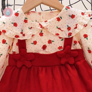 Autumn Floral Dress with Doll Collar
