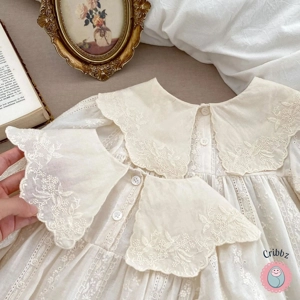 Toddler Girl Flower Embroidery Dress