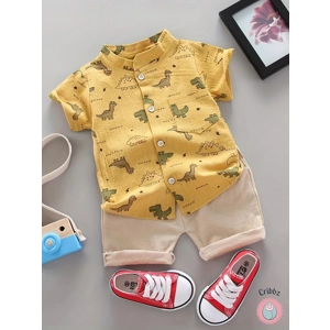 Dinosaur Summer Kids Shorts Shirt Set