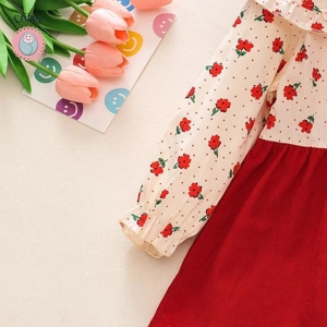 Autumn Newborn Girls Cartoon Flower Dress