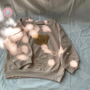 Baby Bear Embroidered Hooded Sweatshirt