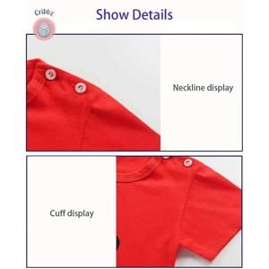 Kids Cartoon T-Shirt and Shorts Set