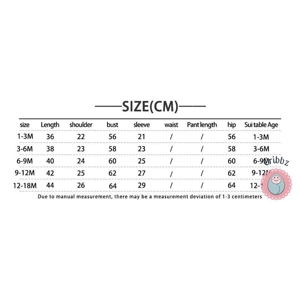 Floral Embroidery Baby Girl Bodysuit