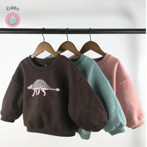 Cool Dinosaur Fleece Hoodie for Kids