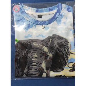 Dinosaur Print Summer T-Shirts for Kids