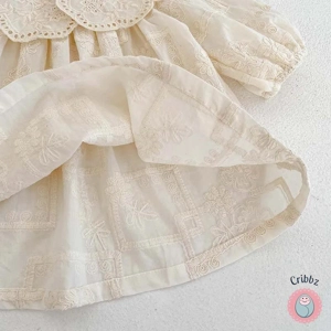 Toddler Girl Flower Embroidery Dress