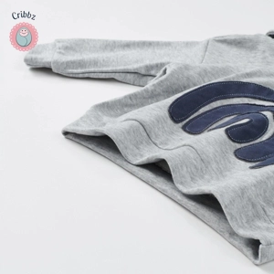 Baby Boys Rainbow Bear Ear Outfit Set