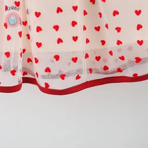 Baby Girl Flying Sleeves Princess Dress