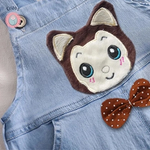 Baby Boys Denim Jumper Overalls