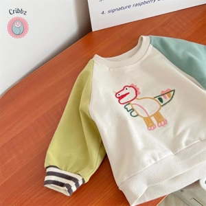 Embroidered Cartoon Hoodie for Babies