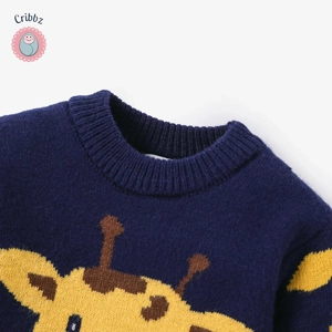 Giraffe Embroidery Baby Boy Sweater