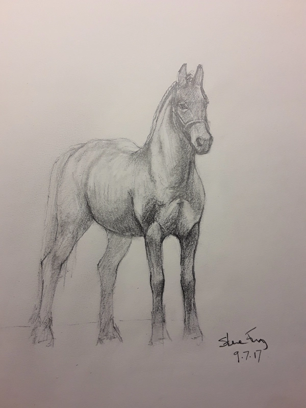 Horse sketch